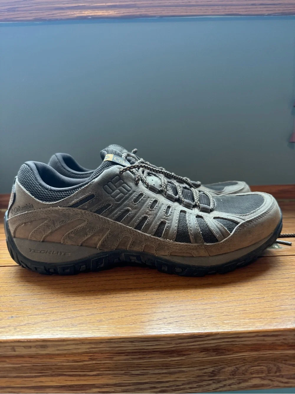 Columbia Men’s Brown Trail Hiking Shoes